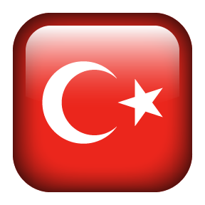 Türkçe